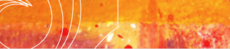 creonda_orange_homepage.png